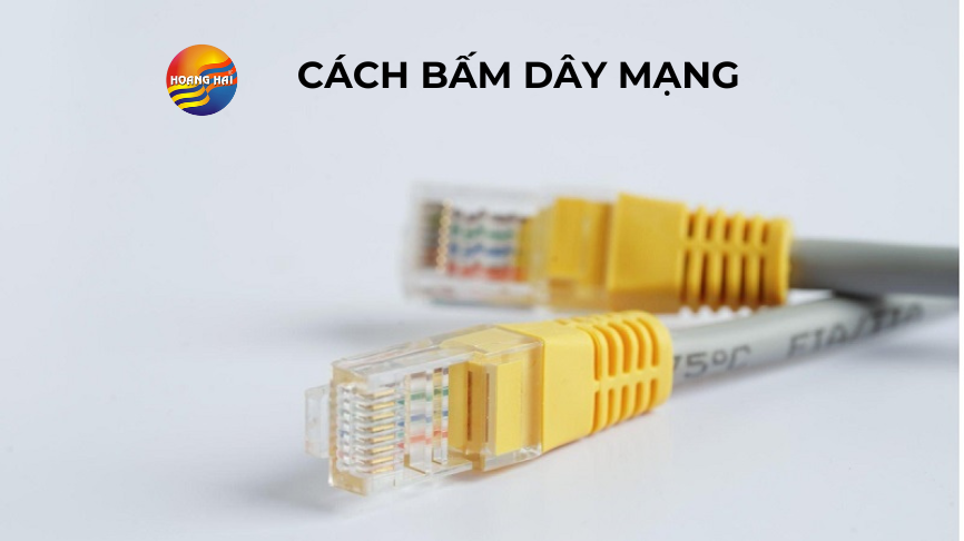 cách bấm dây mạng